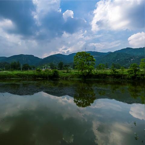 桃源记2独家秘籍：商人必看！优先购清单大揭秘！