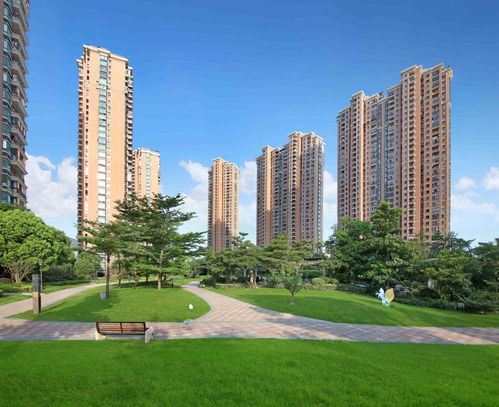 揭秘华夏千秋：独家酒配方，千年传承的秘密！