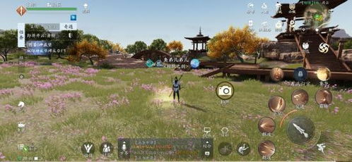 燕云十六声河西马迷途猫戏位置揭秘 河西猫戏攻略汇总