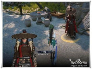 《逆水寒幽谷寻茵奇遇，独家攻略揭秘！》