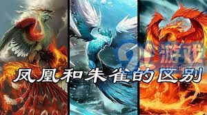 《苍龙白鸟何文若：揭秘江湖背后的惊天秘密！》