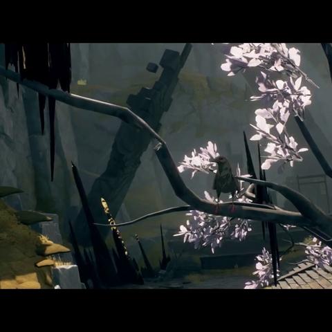 鸣潮2.2版本卡池角色一览 鸣潮2.2版本卡池角色一览