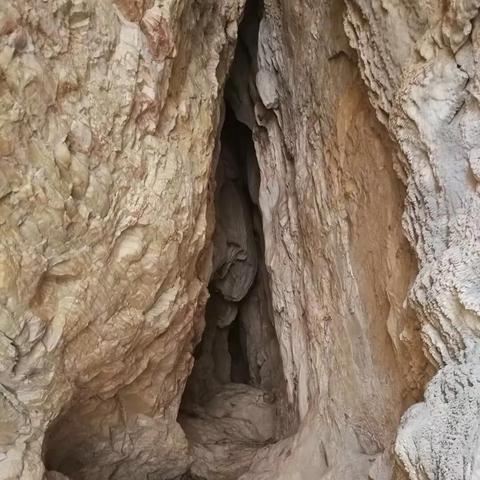 探寻完美一天的秘密！杨帆线攻略大揭秘🔍