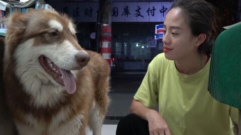 燕云十六声清河千佛村猫戏位置