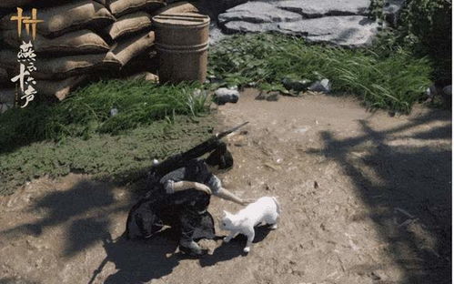 燕云十六声清河丰禾村猫戏地址