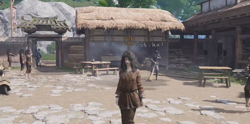 燕云十六声清河丰禾村猫戏地址