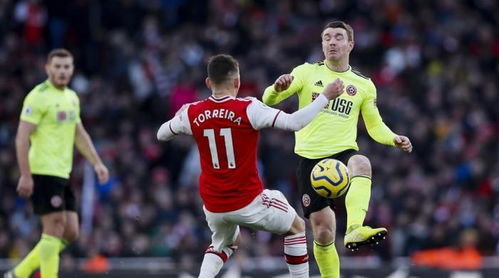 鸣潮2.2版坎特雷拉副C奶妈培养价值评估