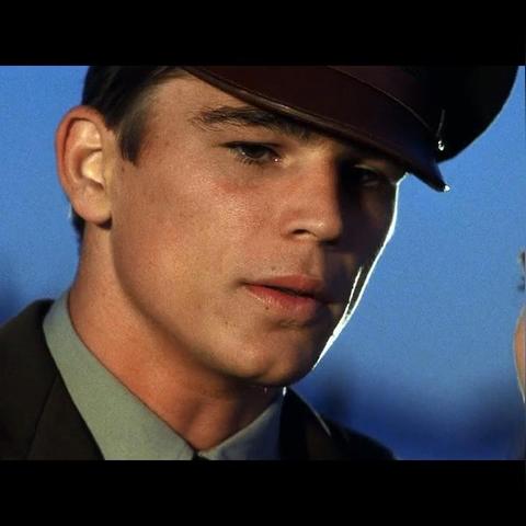 绝区零伊芙琳能量循环爆发流，揭秘隐藏搭配技巧！