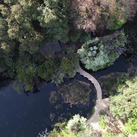 揭秘心动小镇：第3周锦鲤藏身之地，你找到了吗？