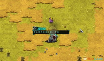 崩溃大陆2无法启动？解决攻略