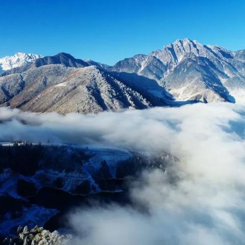 云海探秘：新手必看！云海之下独家玩法大揭秘