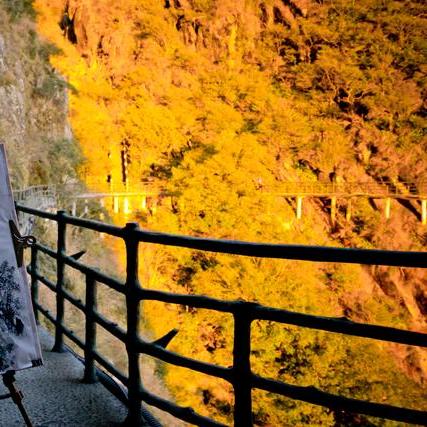 云海探秘：新手必看！云海之下独家玩法大揭秘