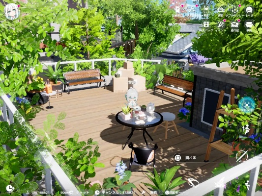 开放空间菲培养技巧全解析