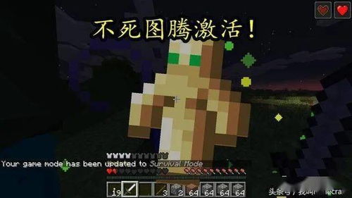 《Minecraft精选种子分享：专业玩家鉴定指南》