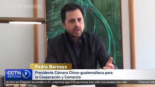 苏丹哲巴尔事件：人物事件概览