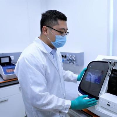 苏丹卡游戏消除技巧解析 苏丹卡高效消除攻略