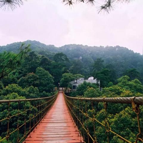 开放空间钓鱼技巧：一至十级钓鱼图鉴大全