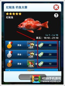 开放空间八级钓鱼攻略：钓获图鉴大全