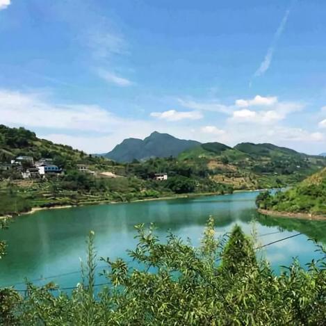 开放空间七级钓鱼攻略:图鉴大全 开放空间七级钓鱼攻略:图鉴大全