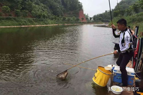 开放空间六级钓鱼收获指南，钓鱼图鉴大全