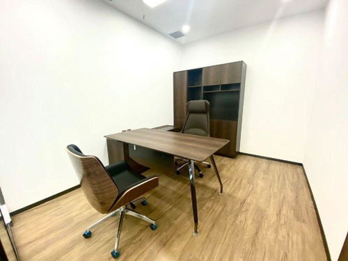 开放空间光技能解析：光海石榴角色核心技能揭秘