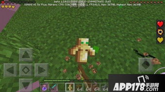 《Minecraft中获取龟壳方法详解》