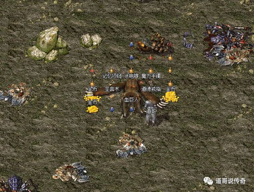 热血传奇血巨人爆率怎么样 血巨人会掉落哪些东西 热血传奇血巨人爆率怎么样 血巨人会掉落哪些东西