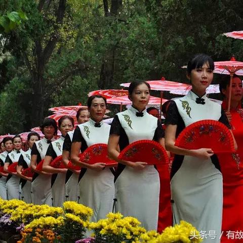 《揭秘！朝露之冠游戏金色装备速成攻略，独家技巧大公开》