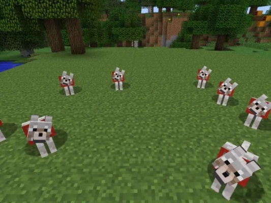 《揭秘!轻松驯服我的世界狼,独家技巧大公开》 《揭秘!轻松驯服我的世界狼,独家技巧大公开》