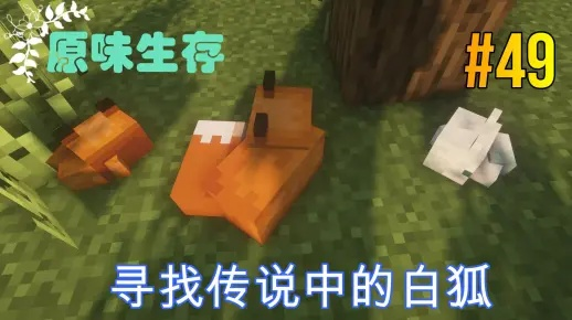 《揭秘！轻松召唤白狐狸，Minecraft独家指令攻略》