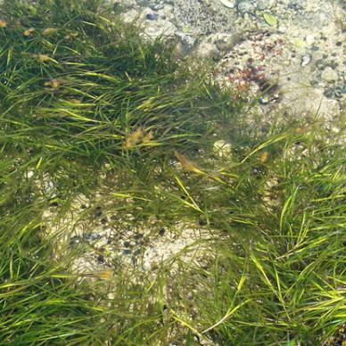 《Minecraft加速秘籍！一招让你游戏飞起，速来学！》