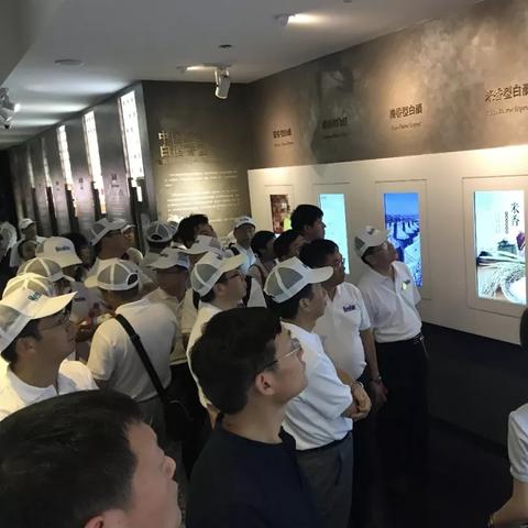 《2025独家揭秘：药水延长时间，药水酿造新秘籍大公开！》