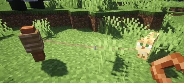 《2025独家揭秘：Minecraft动物拴绳新玩法，驯养技巧大公开！》