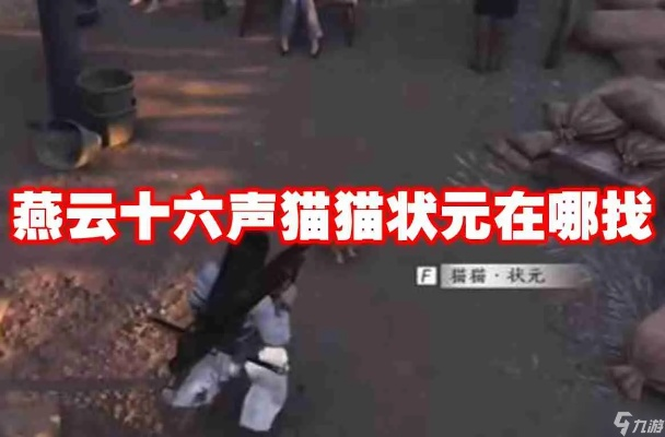 《燕云十六声猫戏全攻略：玉露台凉州猫戏寻宝秘籍》