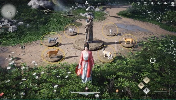 燕云十六声玉池猫戏全攻略，凉州猫戏收集秘籍