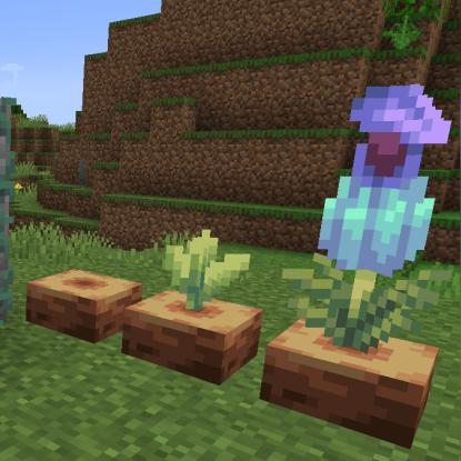 《独家揭秘！Minecraft最顶级资源种子大公开》