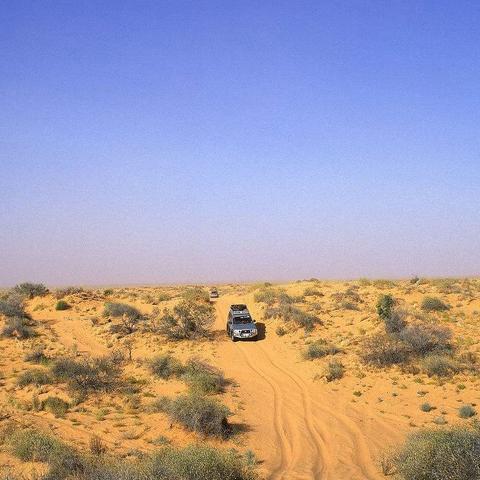 《黑色沙漠》次世代主机版震撼来袭！🔥🎮