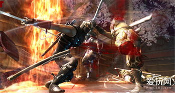 《怒之羁绊》游戏售价揭秘：忍者龙剑传性价比分析