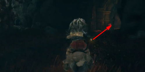 《艾尔登法环：永夜王新公布！慧心虫增强版震撼来袭》