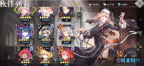 《银与绯希波蒂角色抽选分析:值得入手吗?》 《银与绯希波蒂角色抽选分析:值得入手吗?》