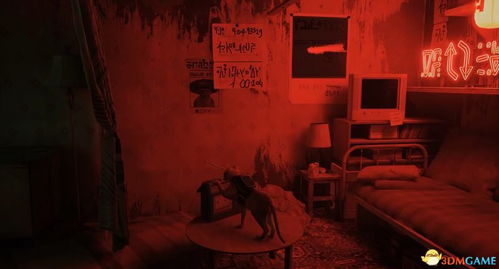 黑街面疙瘩攻略：独家制作方法大揭秘