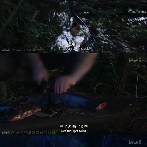 《荒野一锅炖攻略：自制美食大餐秘籍》