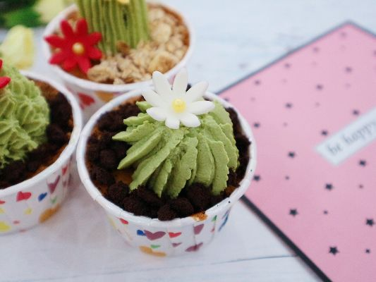 苏丹仙人掌蛋糕攻略:大餐级制作秘籍大公开 苏丹仙人掌蛋糕攻略:大餐级制作秘籍大公开