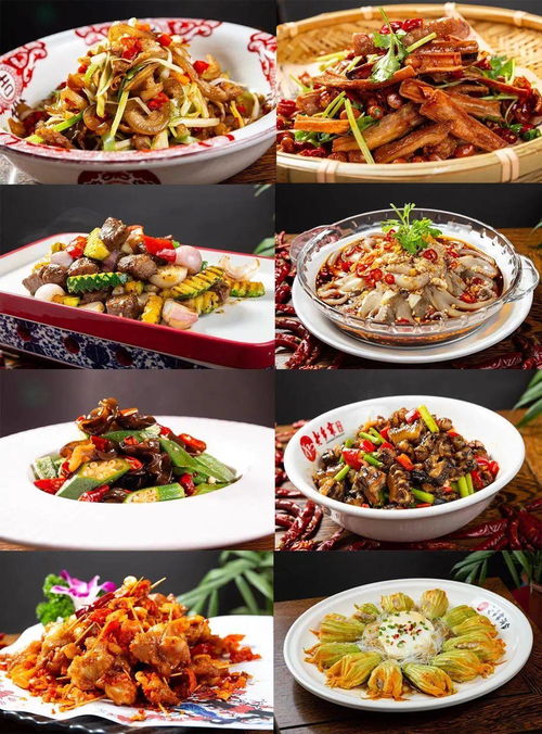 《熏狮子全餐制作攻略:苏丹金大餐独门秘籍》 《熏狮子全餐制作攻略:苏丹金大餐独门秘籍》