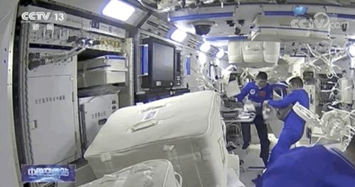 《分拣员模拟器PC版配置要求揭秘！》