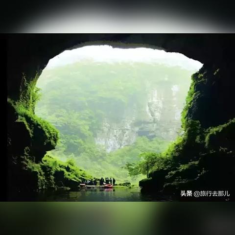 奇蛋生物主岛布局攻略:探索隐藏宝藏的秘境布局 奇蛋生物主岛布局攻略:探索隐藏宝藏的秘境布局