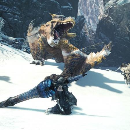 《怪猎荒野》新补丁揭秘：平衡调整背后的秘密大揭秘！