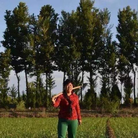 沙丘觉醒面粉砂变硅胶块教程，轻松制作攻略！