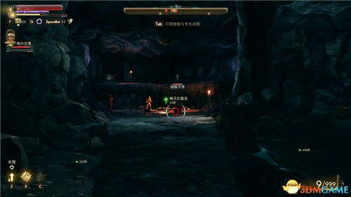 《FF14水晶世界锁匠花攻略：高效通关技巧揭秘》