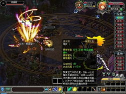 幻兽帕鲁双骑士大桥：资源盘点，宝藏之地揭秘